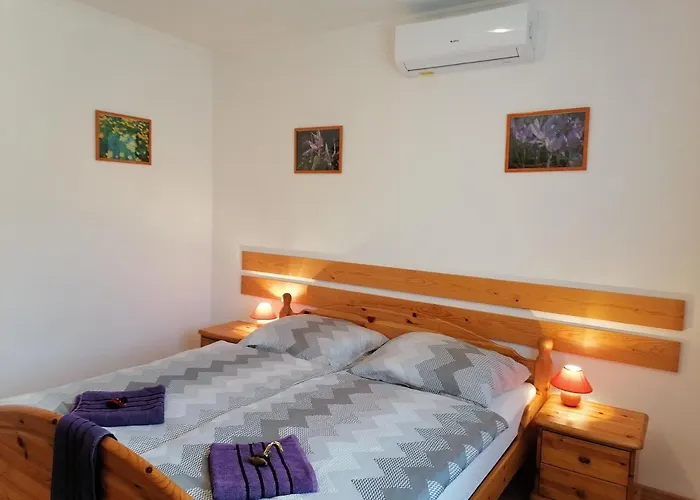 Pensiune 8888 Apartmanhaz *