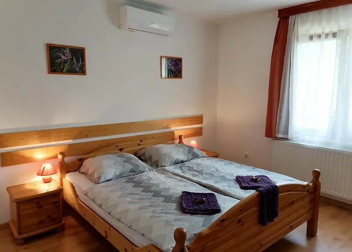 Pensiune 8888 Apartmanhaz Lispeszentadorján